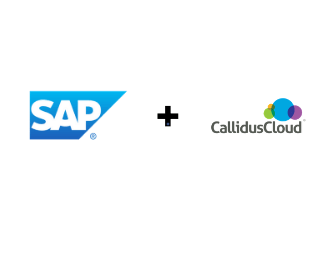 SAP’s America unit acquired SaaS company Callidus Software for $2.4 billion